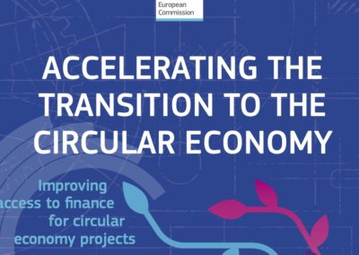 Accelerating the transition to the Circular Economy. Comisión Europea (2019)