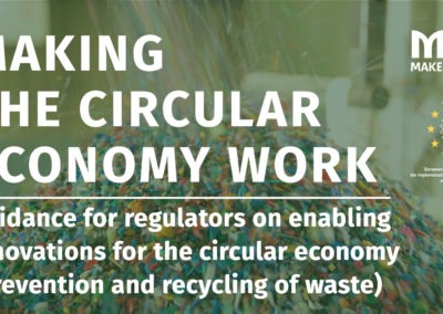 Making the Circular Economy Work (2019)