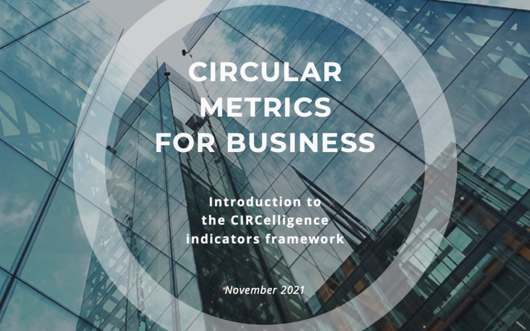 Circular Metrics for Business (2021)
