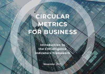Circular Metrics for Business (2021)