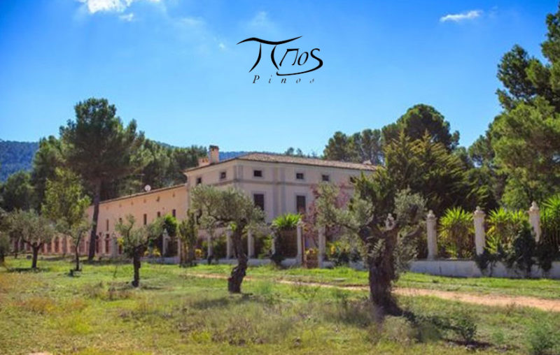 Bodega Los Pinos