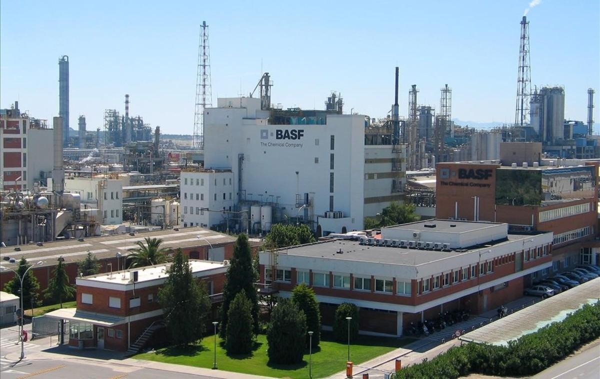 4ed7a2a3-0847-489c-8382-e5b86579724a_alta-libre-aspect-ratio_default_0