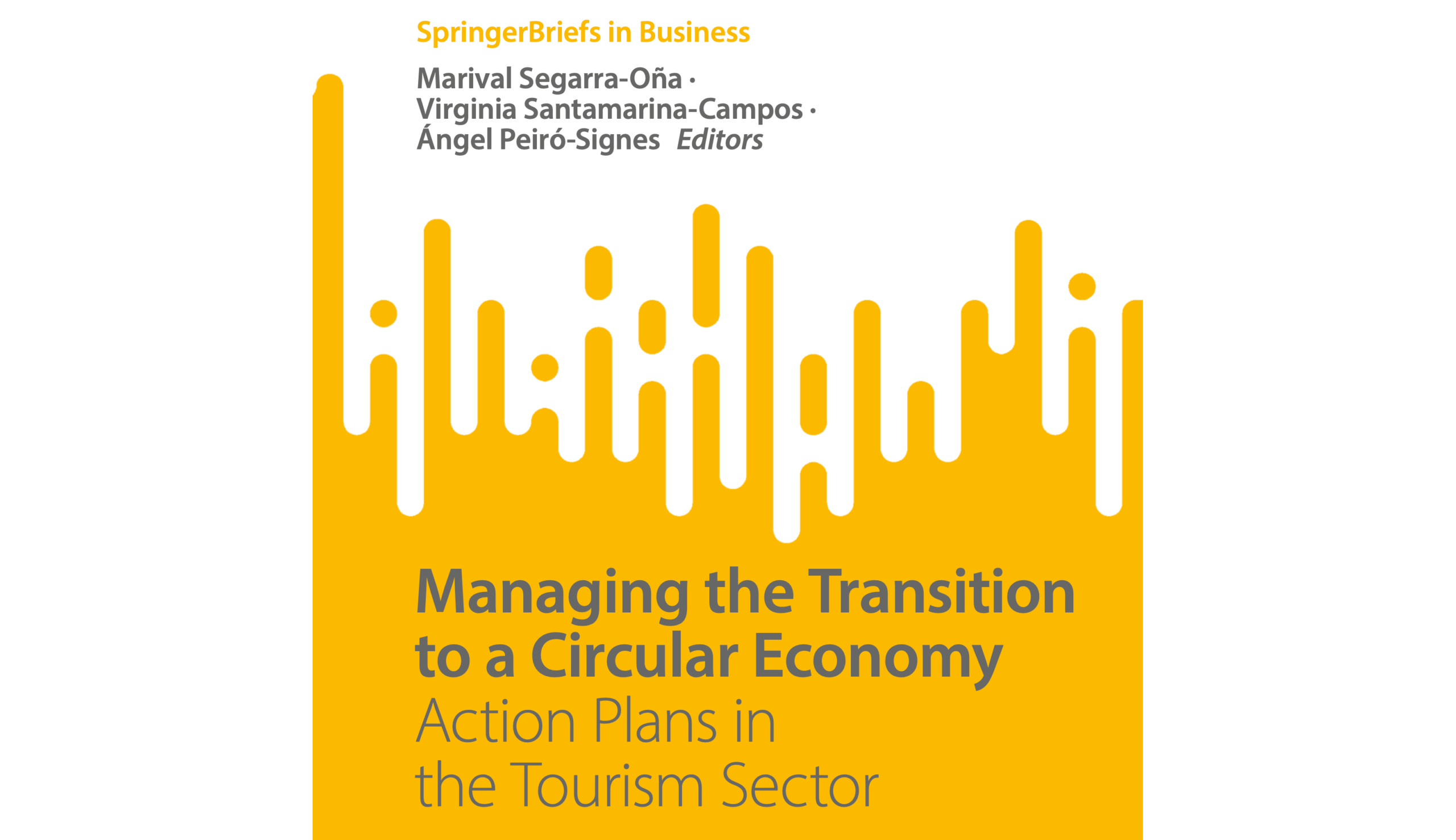 Managing the Transition to a Circular Economy. Springer